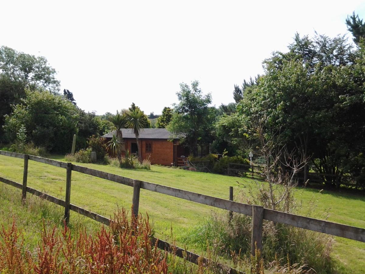 Tudor Lodge Liskeard Exterior foto